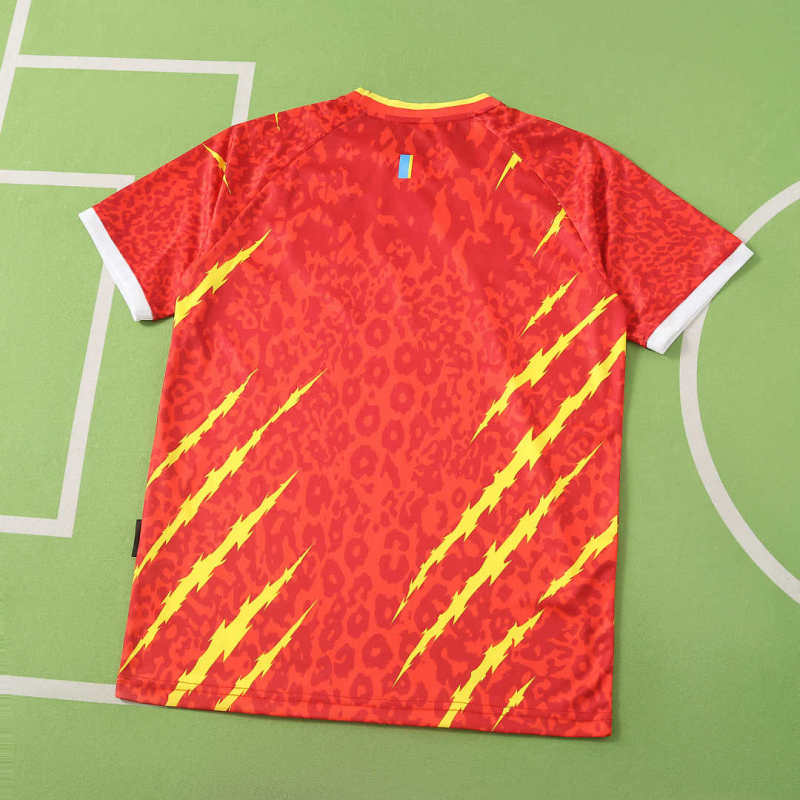 2026 FIFA World Cup Congo third Fan version