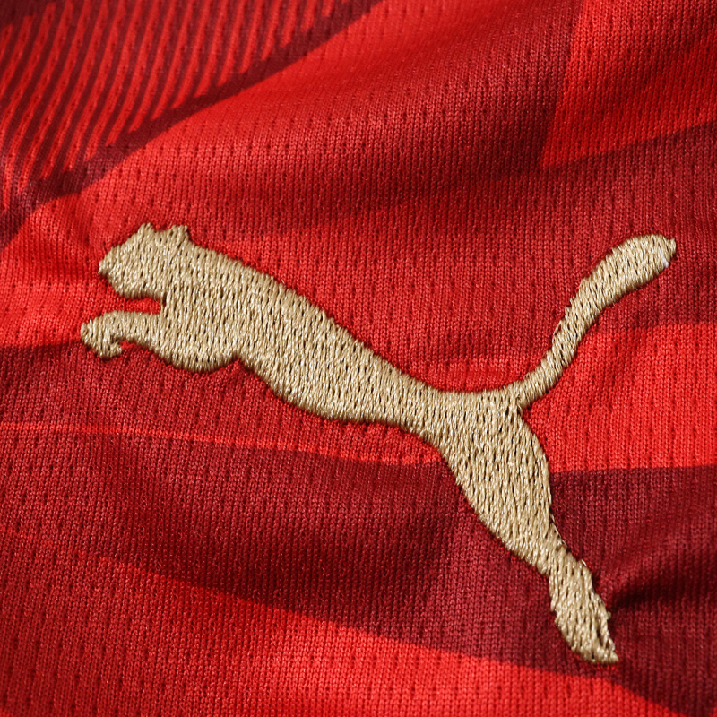 2026 FIFA World Cup Egypt home Fan version
