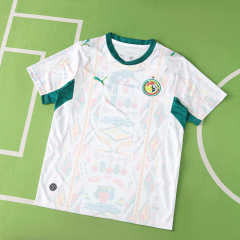 2026 FIFA World Cup Senegal home Fan version