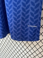 2026 Italy home Fan version