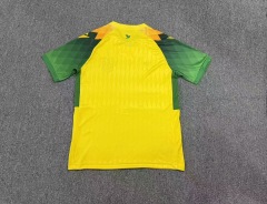 2627 season Nantes home Fan version