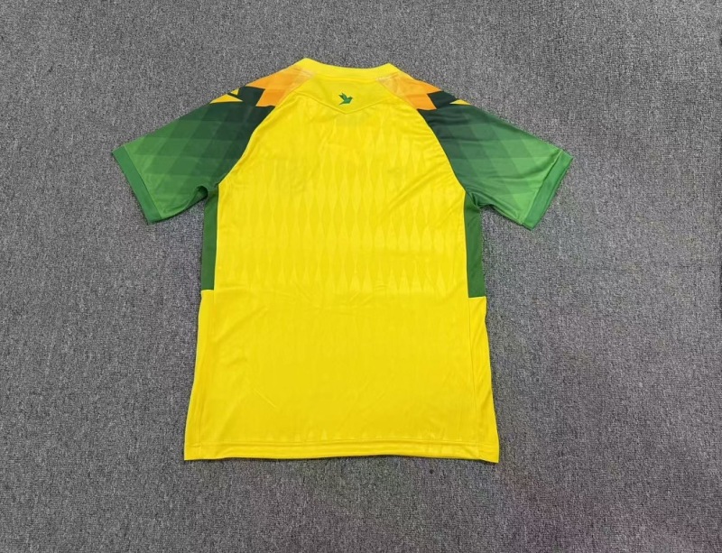 2627 season Nantes home Fan version