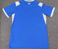 2627 season Cardiff City home Fan version
