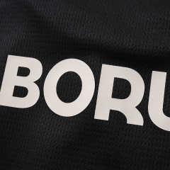 2627 season Borussia Dortmund Concept version Fan version