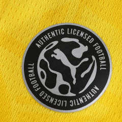 2627 season Borussia Dortmund home Fan version