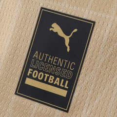 2627 season Borussia Dortmund Concept version Fan version