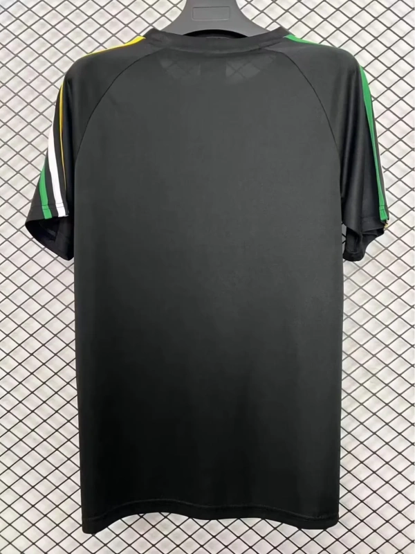 2627 season The Celtic Football Club Special Fan version