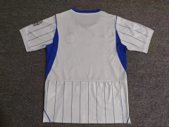 2627 season Brighton away Fan version