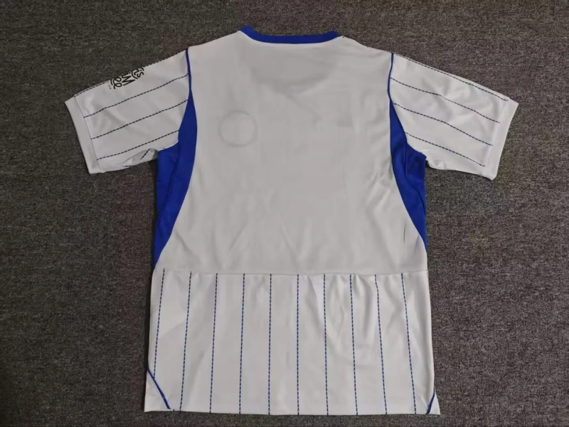2627 season Brighton away Fan version