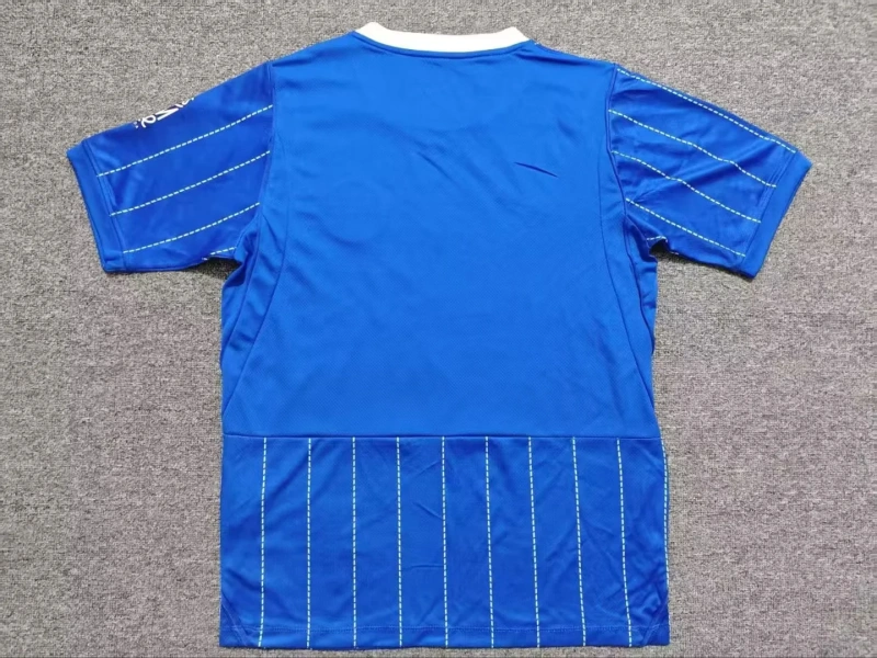 2627 season Brighton home Fan version