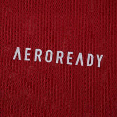 2526 season Liverpool home Fan version