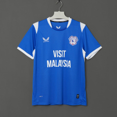 2627 season Cardiff City home Fan version