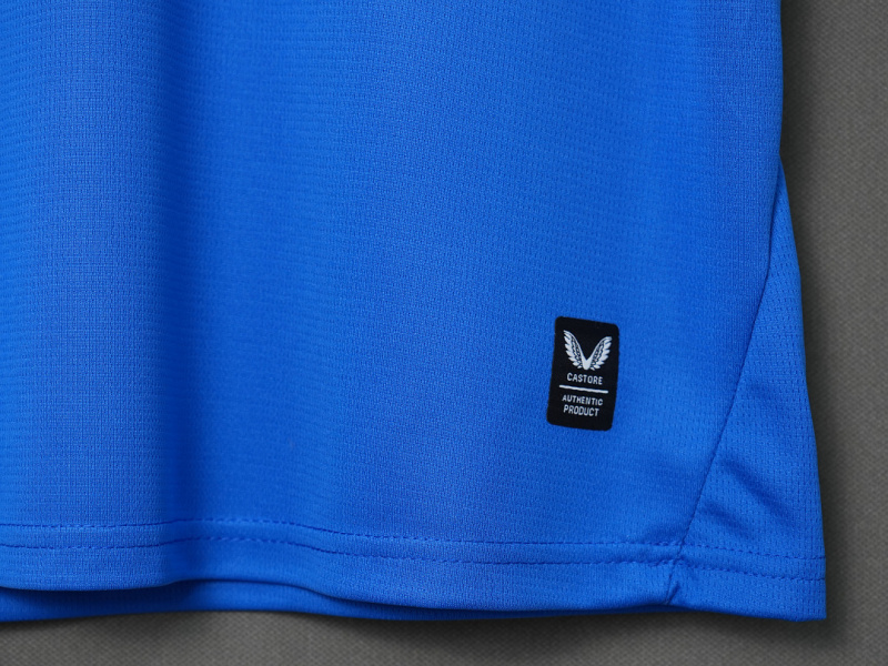 2627 season Cardiff City home Fan version