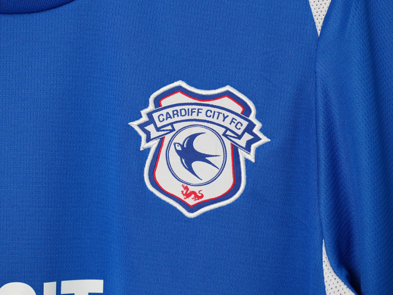 2627 season Cardiff City home Fan version