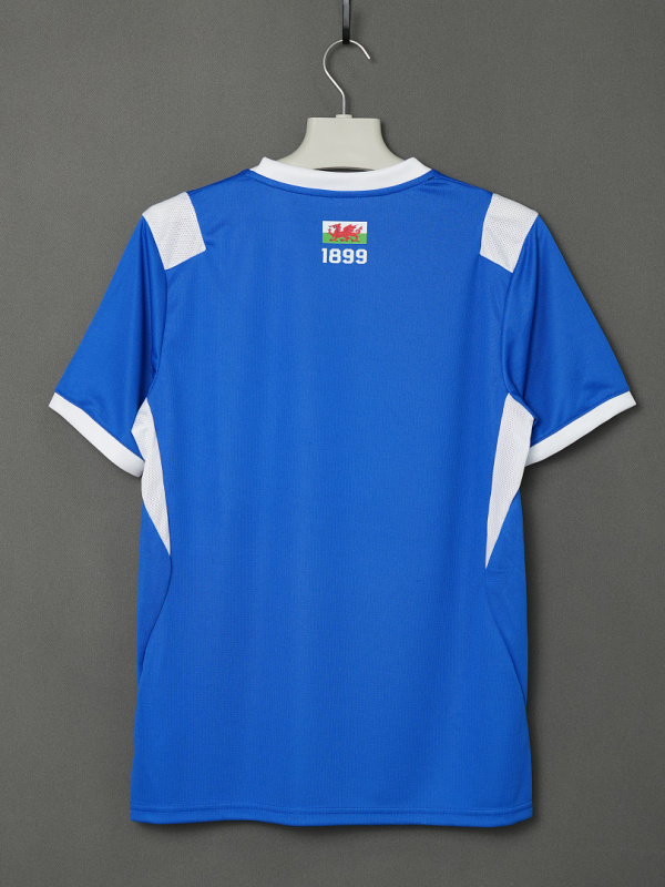2627 season Cardiff City home Fan version