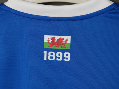 2627 season Cardiff City home Fan version