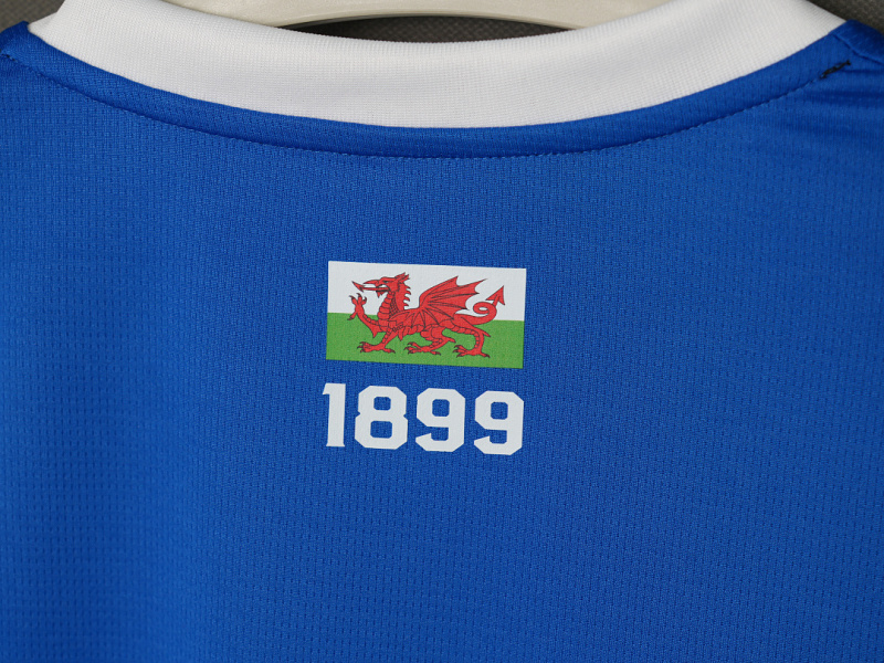 2627 season Cardiff City home Fan version