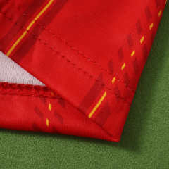 2026 FIFA World Cup Spain home Kids kit two star + free socks