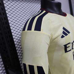 2627 season Arsenal F.C. third Long sleeve Player version