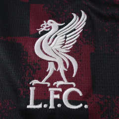 2627 season Liverpool third Fan version
