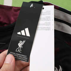 2627 season Liverpool third Fan version