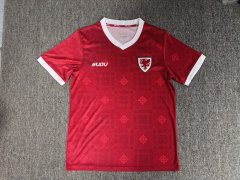 2027 Wales home Fan version