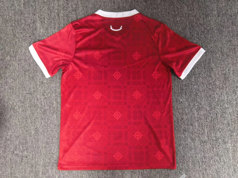 2027 Wales home Fan version