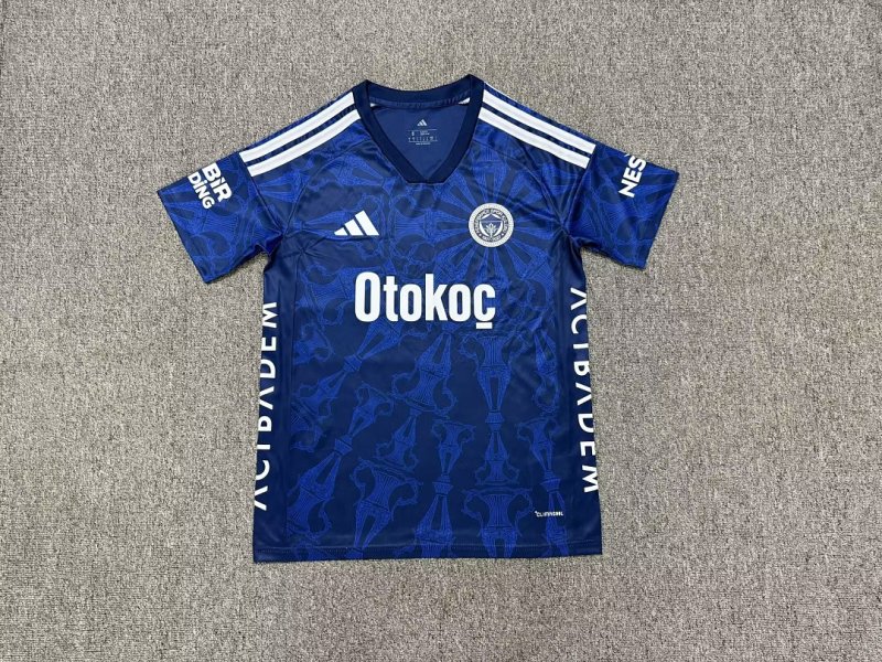 2627 season Fenerbahce third Fan version