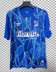 2627 season Sheffield Wednesday Goalkeeper Fan version