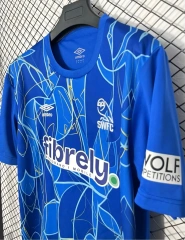 2627 season Sheffield Wednesday Goalkeeper Fan version