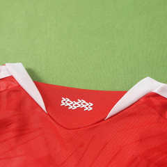 2627 season Benfica home Fan version