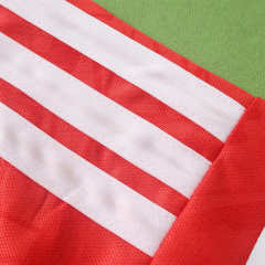 2627 season Benfica home Fan version
