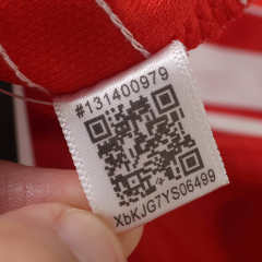 2627 season Benfica home Fan version