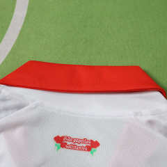 2627 season Benfica away Fan version