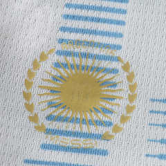 2627 Argentina Concept version Fan version