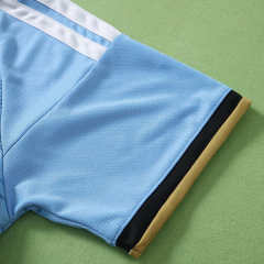 2627 Argentina Concept version Fan version