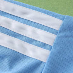 2627 Argentina Concept version Fan version