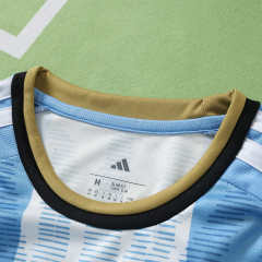 2627 Argentina Concept version Fan version