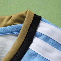 2627 Argentina Concept version Fan version