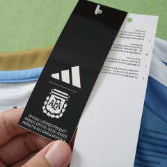 2627 Argentina Concept version Fan version