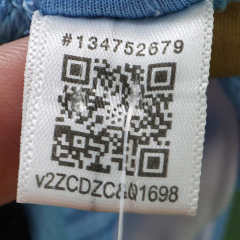 2627 Argentina Concept version Fan version