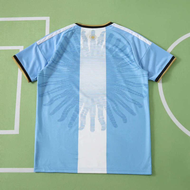 2627 Argentina Concept version Fan version