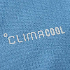 2627 Argentina Concept version Fan version