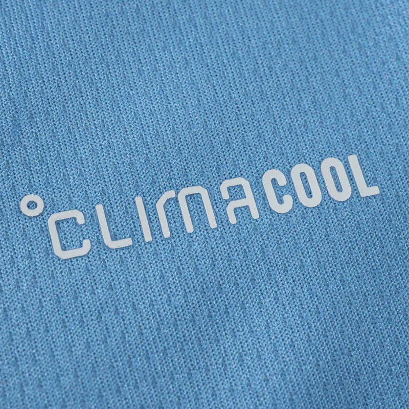 2627 Argentina Concept version Fan version