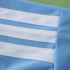2627 Argentina Concept version Fan version