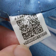 2627 Argentina Concept version Fan version