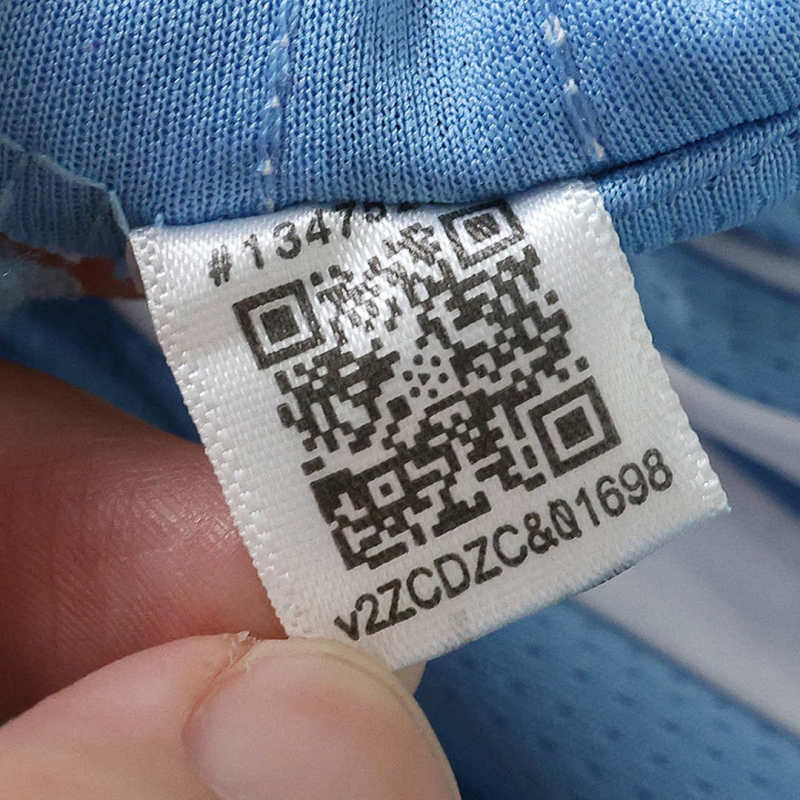2627 Argentina Concept version Fan version