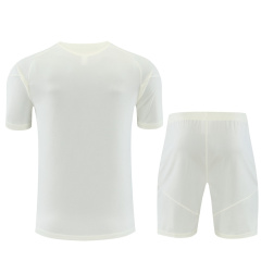 2026 Real Madrid Training clothes suit Short sleeve Fan version