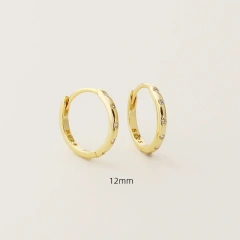Ins Delicate Circle Zircon Earrings 925 Sterling Silver Hypoallergenic Earrings for Party YF8100