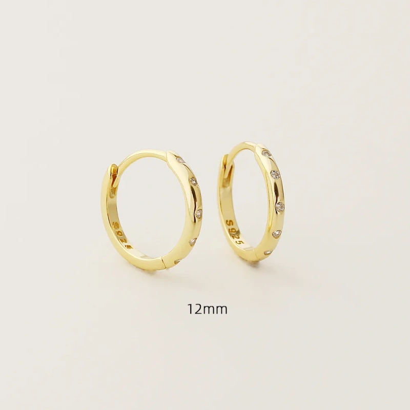 Ins Delicate Circle Zircon Earrings 925 Sterling Silver Hypoallergenic Earrings for Party YF8100